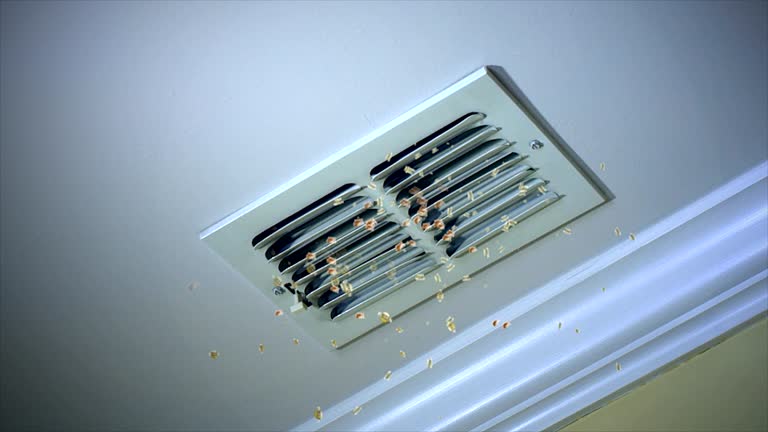Best Local Air Duct Cleaning Services  in Lewistown, IL